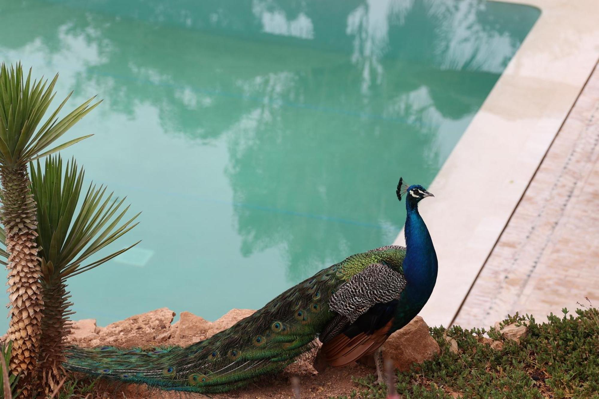 Paradis Nomade Azrarag Экстерьер фото